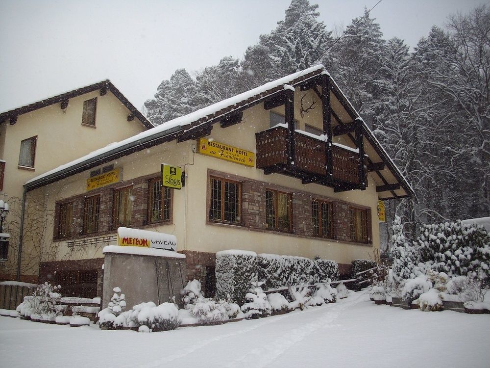 Le Freudeneck Hotel Wangenbourg-Engenthal